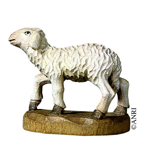Lamm, stehend mit gehobenem Kopf der Kuolt Krippe