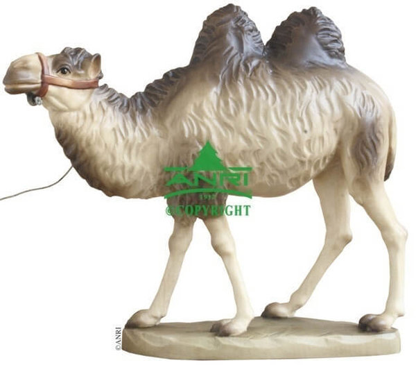 Kamel der Bernardi Krippe