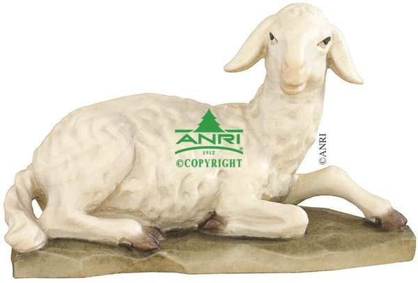 Schaf, liegend der Bernardi Krippe