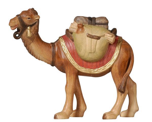 Kamel mit Gepäck der Pema Krippe